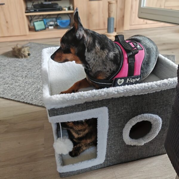 Casa de Luxo para Cães e Gatos com Cama, Placa de Arranhar e Tapete Reforçado - Image 8