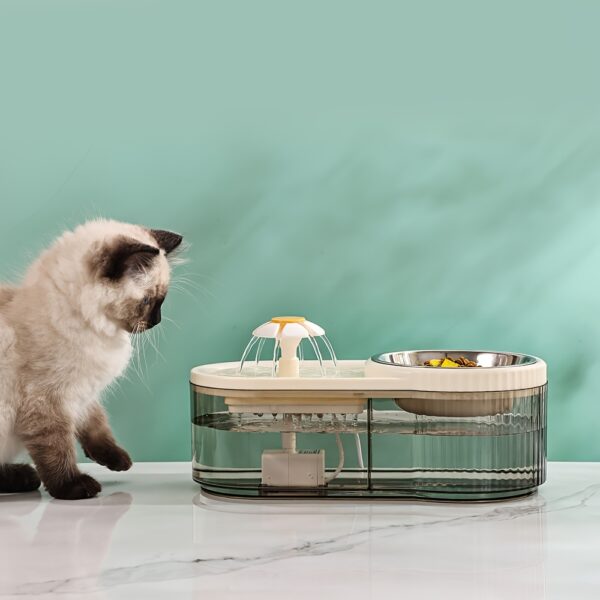 Fonte Automática de Água e Comedouro Elevado em Aço Inoxidável para Gatos - Image 12